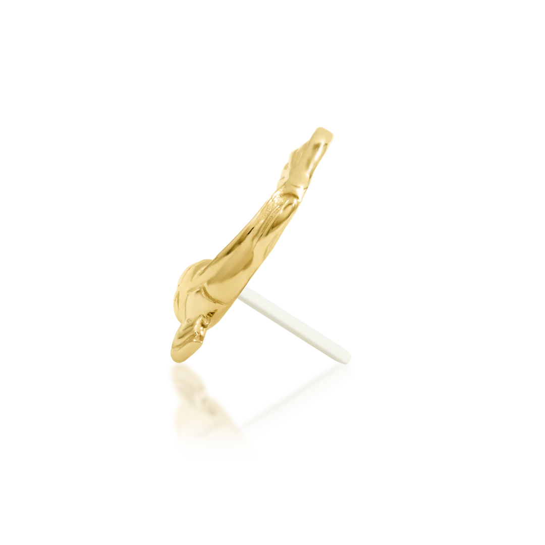 CARP-E DIEM - THREADLESS END *PRE-ORDER* Junipurr Jewelry